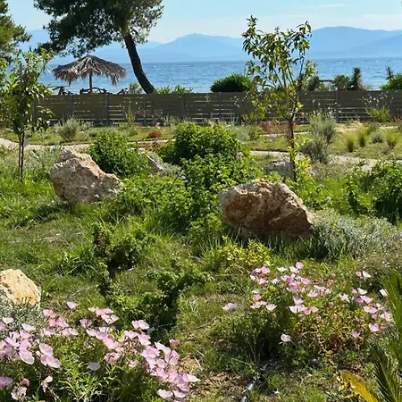 Villa Sunbreeze-beachfront Luxury 5 Bed 4 Bath-sleeps 10 *