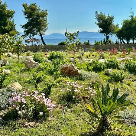 Villa Sunbreeze-beachfront Luxury 5 Bed 4 Bath-sleeps 10 Potamion