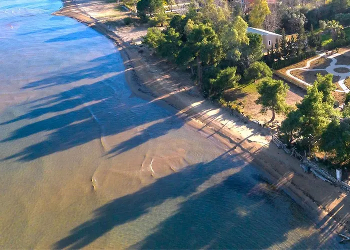Sunbreeze-beachfront Luxury 5 Bed 4 Bath-sleeps 10 Βίλα *