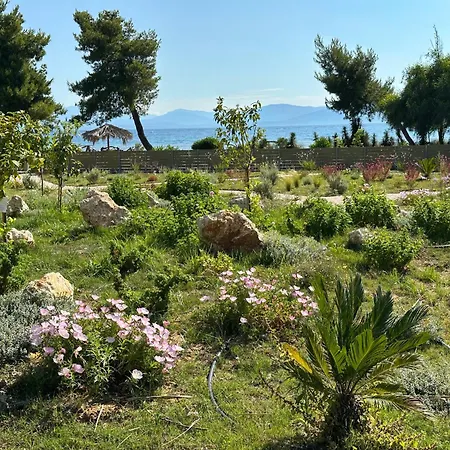 Villa Sunbreeze-beachfront Luxury 5 Bed 4 Bath-sleeps 10 Potamion